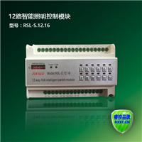 睿控12路智能照明控制器RSL-S.12.16