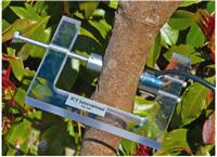 澳大利亚ICT PSY1 植物茎秆水势仪/植物叶片水势仪