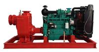 上海舜隆泵业供应SLCZW型固定式柴油机自吸泵