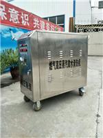 广州蒸气洗车设备 豫正机械 yz