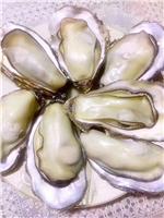山东威海荣成牡蛎的营养含量