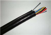 供应RVVG电动葫芦电缆、耐磨葫芦电缆、抗拉葫芦电缆电压300/500V