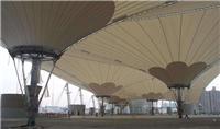 供应遮阳篷膜结构雨棚厂家直销品质保证膜结构观篷