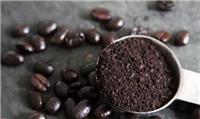 深圳进口印尼猫屎咖啡粉的条件