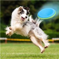 耐咬户外狗飞碟一件代发 大中型犬训练塑料飞盘 宠物玩具厂家批发 修改