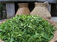 什么茶叶属于中性茶和温性茶