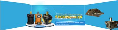 上海域昊NT4-G40F油泵,NT4-G50F齿轮泵