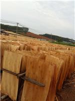 广西鲁安长期供应桉木单板，各种规格