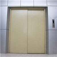 电梯土建技术要求 上海电梯厂家 **房载货电梯