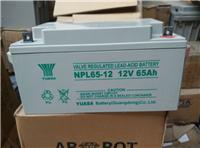 汤浅蓄电池NPL65-12技术参数