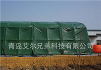厂家直销特种*行器双人单层野营多人户外旅游军绿色大型充气帐篷