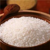水稻种子辽农979销售，水稻种子辽农979价格