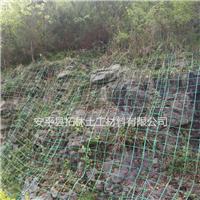 边坡绿化攀爬网厂家 绿色大孔钢塑格栅挂网 20*20公分网孔