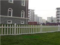 奔诺艺术护栏厂家生产销售防腐PVC草坪护栏现货