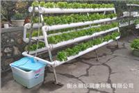阳台露台种菜A字形双面水培机无土栽培设备