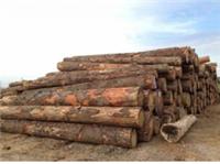 木材进口报关公司 木材进口报关流程 木材进口报关讯息