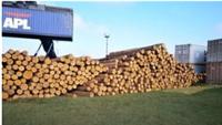非洲进口原木材基本运作流程