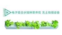 厂家直销无土栽培设备阳台种菜机 室内种植 水培蔬菜空气净化器