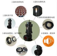 沛源50WQ10-12-1.1排污泵污水泵精密铸造 徐州排水泵批发