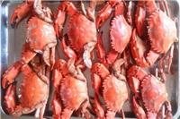 青岛即墨螃蟹的营养价值