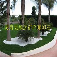 园林绿化装饰用的白色鹅卵石 3-5公分纯白色鹅卵石