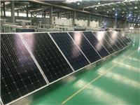 供应太阳能电池板  多晶270瓦、 275瓦   单晶300瓦  310瓦