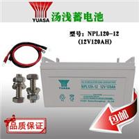 汤浅蓄电池NPL120-12 12V120ＡＨ价格