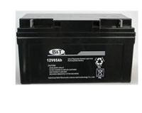 博尔特12V65AH蓄电池B&T技术支持送货上门