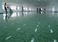 广州市天河区黄村幼儿园pvc地板打蜡木地板翻新处理