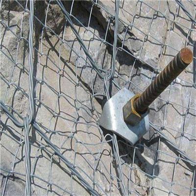 来宾1.8*3米双边丝护栏网——现货4mm浸塑护栏网河渠、养殖用网