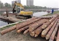 庭轩木材专业木材批发景观河道打桩木 建筑木桩