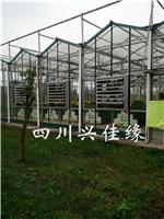 德阳玻璃温室公司-兴佳缘农业-四川玻璃温室