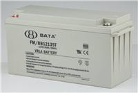 鸿贝蓄电池12V135AH 型号FM/BB12135T全新价格