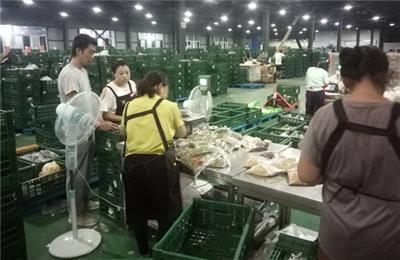 食材源～2018中国 上海 国际配餐食材及生鲜配送博览会