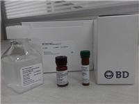 bd 556547 AnnexinV-FITC/PI细胞凋亡双染试剂盒