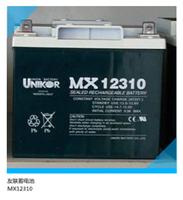 友联蓄电池12V31AH Union电池MX12310原装现货直供