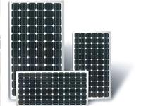 山东太阳能电池板回收，苏州启晨新能源提供专业的太阳能电池板