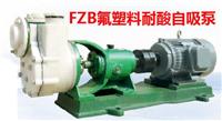 FZB氟合金耐腐蚀自吸泵 FZB氟塑料自吸泵 塑料自吸泵 厂价直销