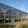 江西山东玻璃温室-潍坊金盟温室工程-甘肃玻璃温室