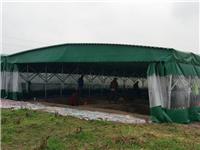 上海金山区彩篷设计 移动推拉篷定制 尺寸帐篷测量