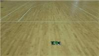 拉萨体育馆木地板 优良的承载性能