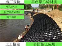 北京20高塑料排水板_北京塑料排水板生产厂家_北京凹凸塑料排水板找拓林
