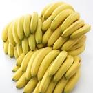进口香蕉需要什么资质