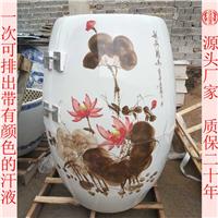 圣菲活瓷能量缸陶瓷负离子养生瓮美容院排毒熏蒸缸