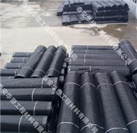 欢迎光临惠州钢塑土工格栅路基增强 现货直销