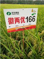 水稻种植，利农种植农民专业合作社