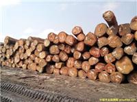上海木材进口报关公司