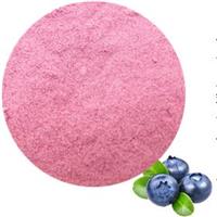 唐朝食品蓝莓粉 果蔬粉 水果粉厂家直销