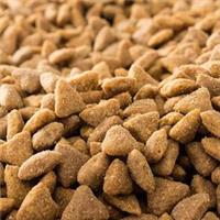 进口美国高档猫狗宠物粮怎么安排