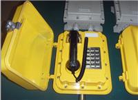 特种工业调度电话机矿山防水防潮自动广播应急求助电话机